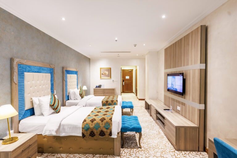 Room - Deluxe Twin 1